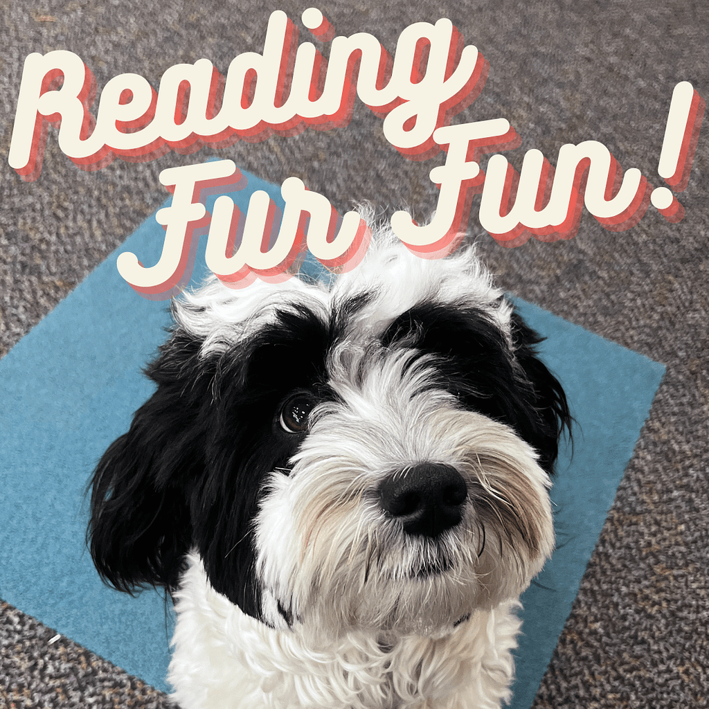 Reading Fur Fun logo with picture of black and white dog