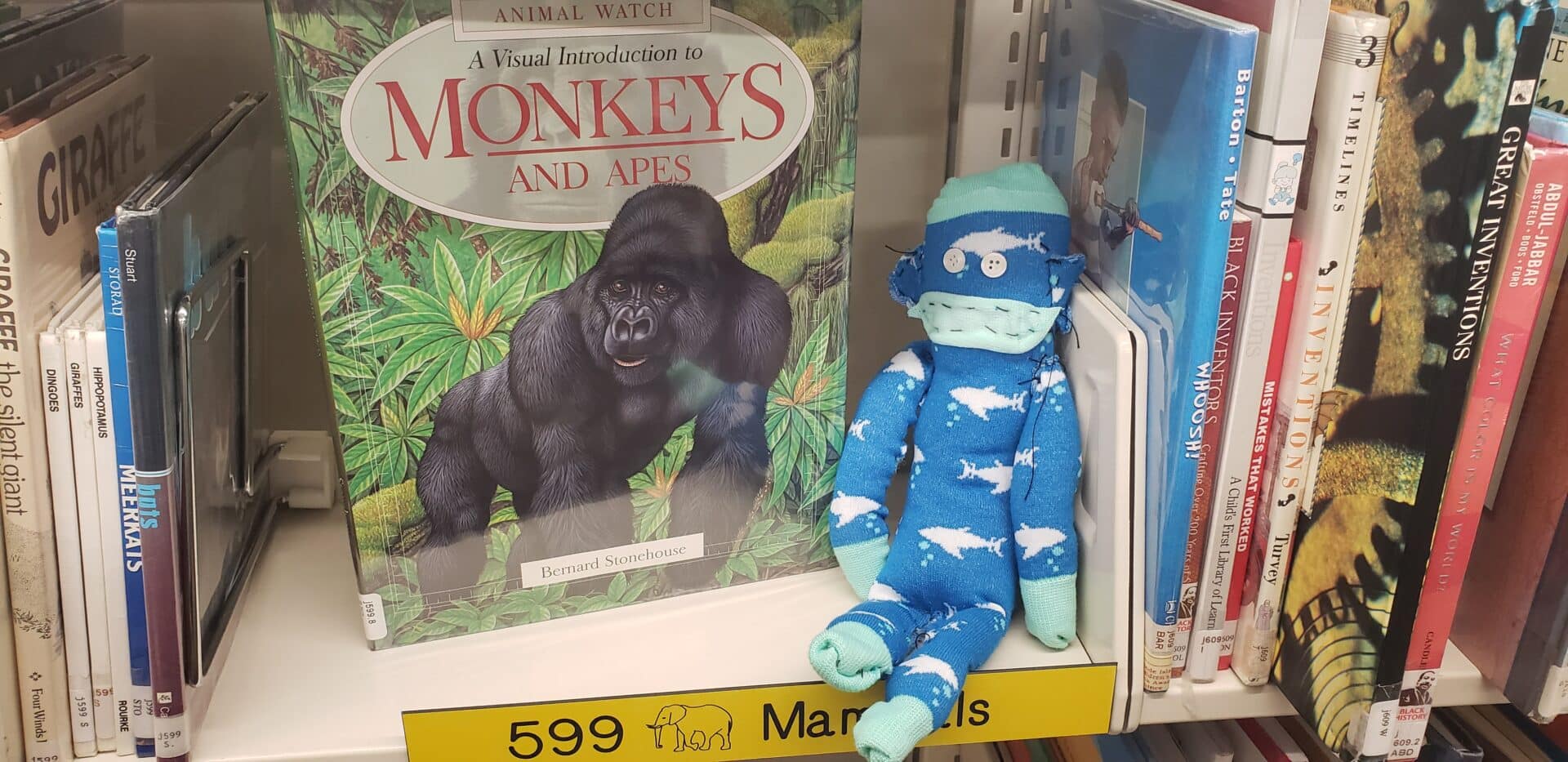 Image of a blue sock monkey next to a book titled Monkeys. 